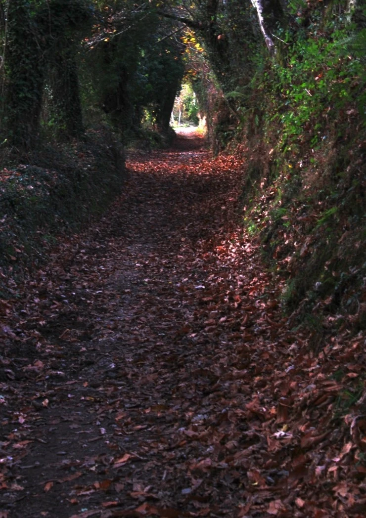 IMG_1119.jpg?type=w740