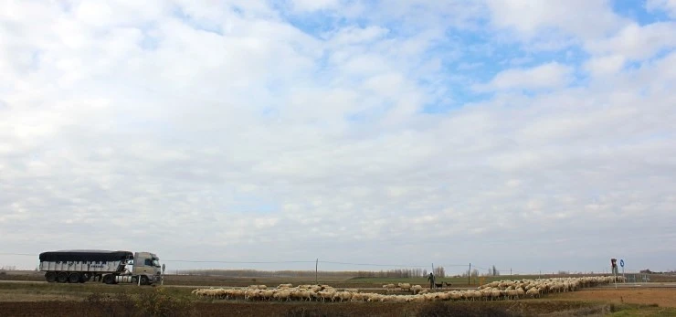 IMG_0685.jpg?type=w740