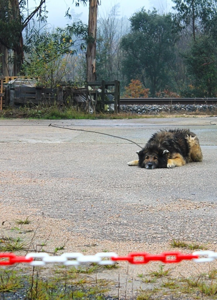 IMG_1569.jpg?type=w740