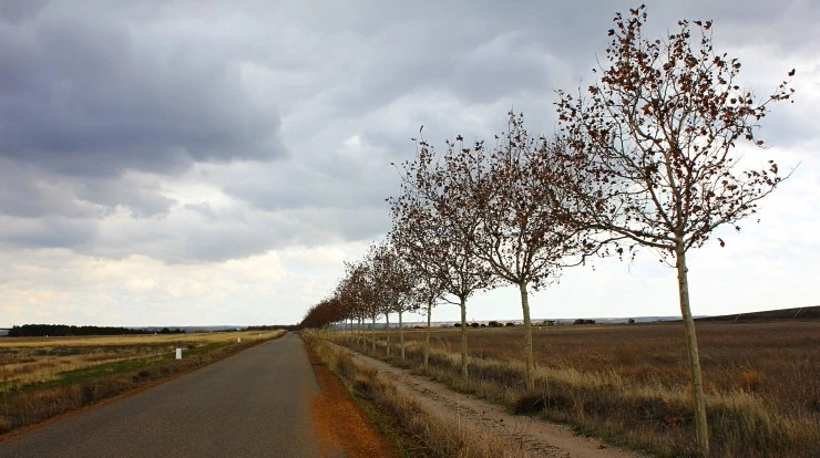 IMG_0689.jpg?type=w740