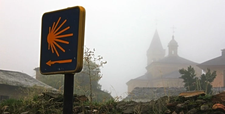 IMG_0920.jpg?type=w740