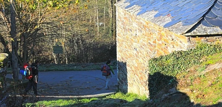 IMG_1159.jpg?type=w740