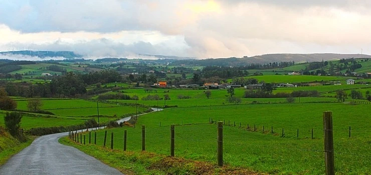 IMG_1401.jpg?type=w740