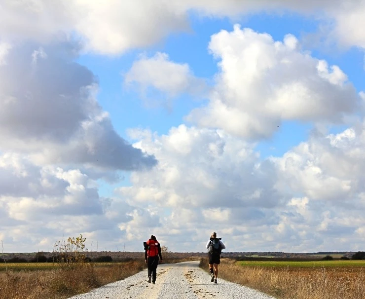 IMG_0650.jpg?type=w740