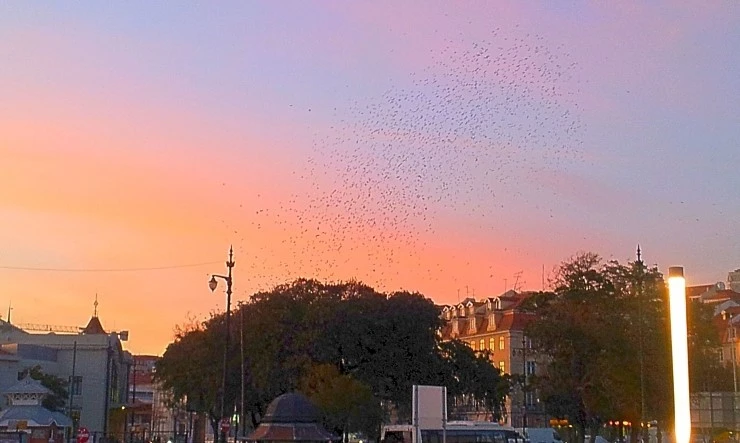 2011-12-18_17.26.jpg?type=w740