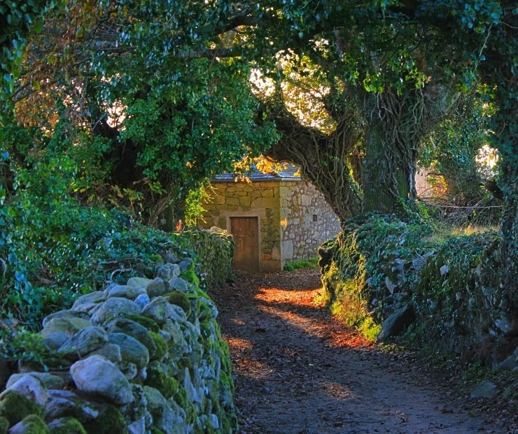 IMG_1190.jpg?type=w740