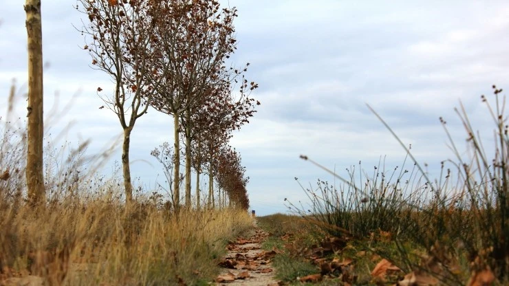 IMG_0699.jpg?type=w740