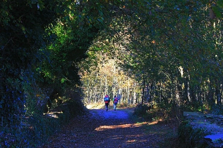 IMG_1150.jpg?type=w740