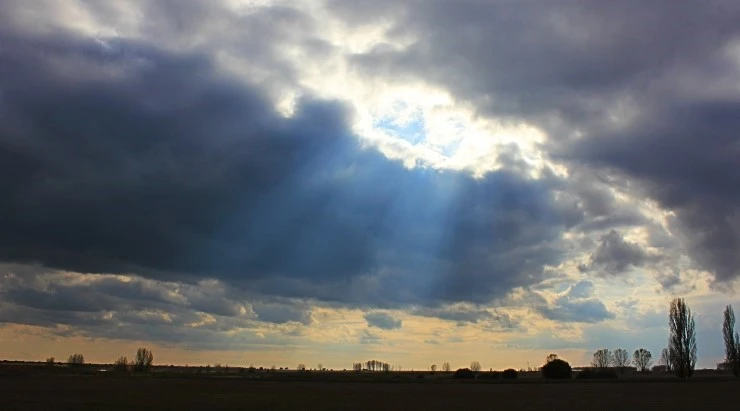 IMG_0692.jpg?type=w740