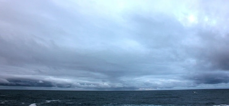 IMG_1426.jpg?type=w740