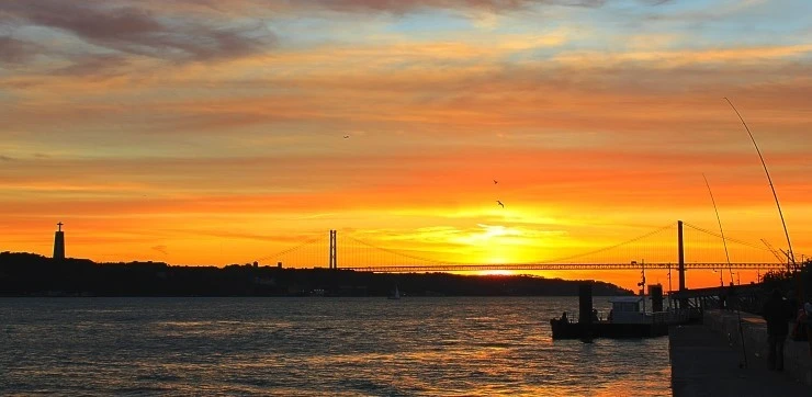 IMG_1932.jpg?type=w740