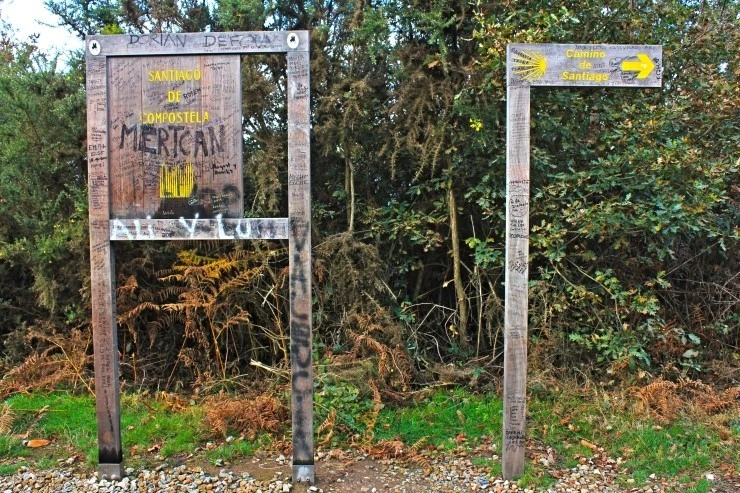 IMG_1312.jpg?type=w740