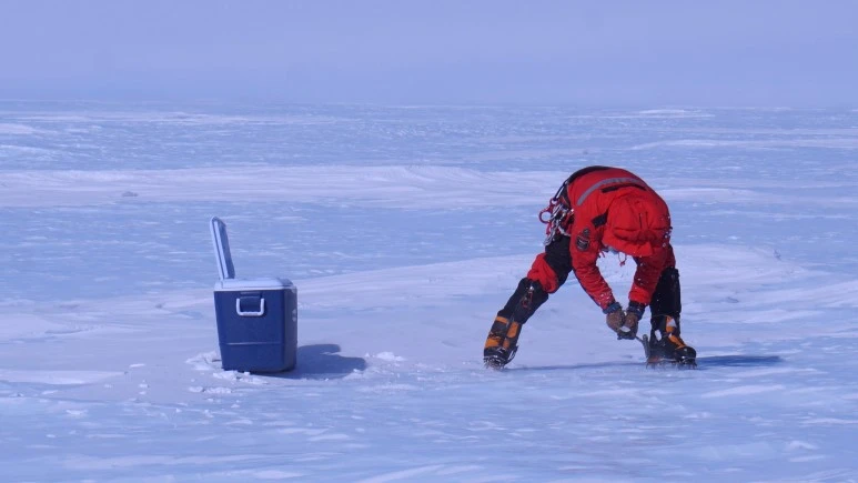 image_7207836631499845080618.jpg?type=w773