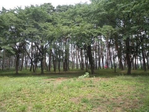 DSC02457.JPG?type=w2