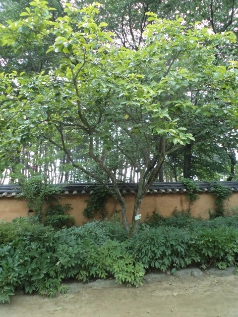 DSC02392.JPG?type=w2