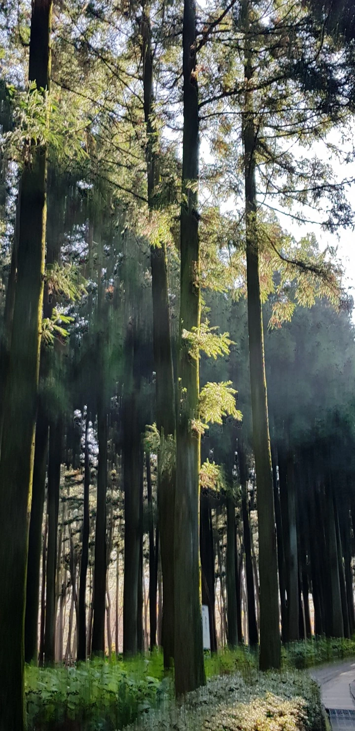 9994874E5BEF591B28F126