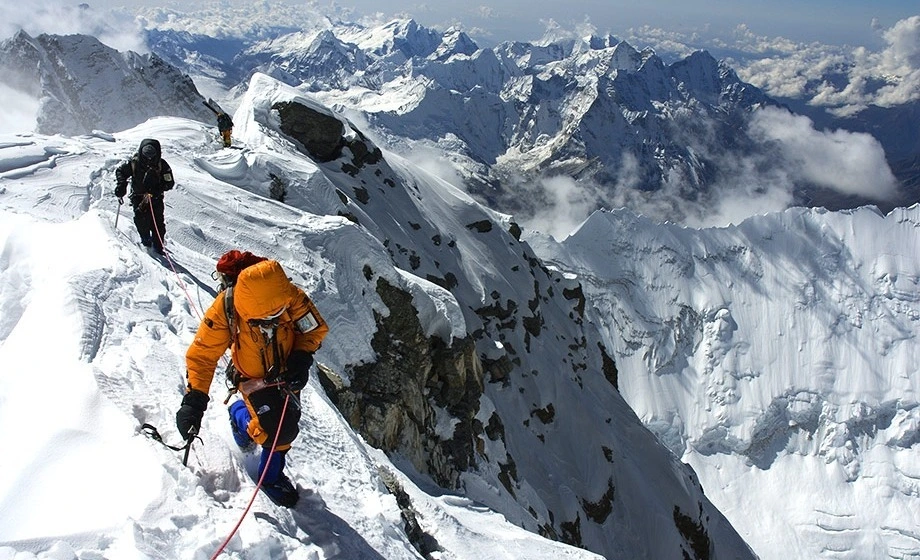 다운로드 (4).jfif