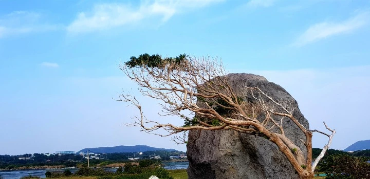 99E075425BEF591C29F798