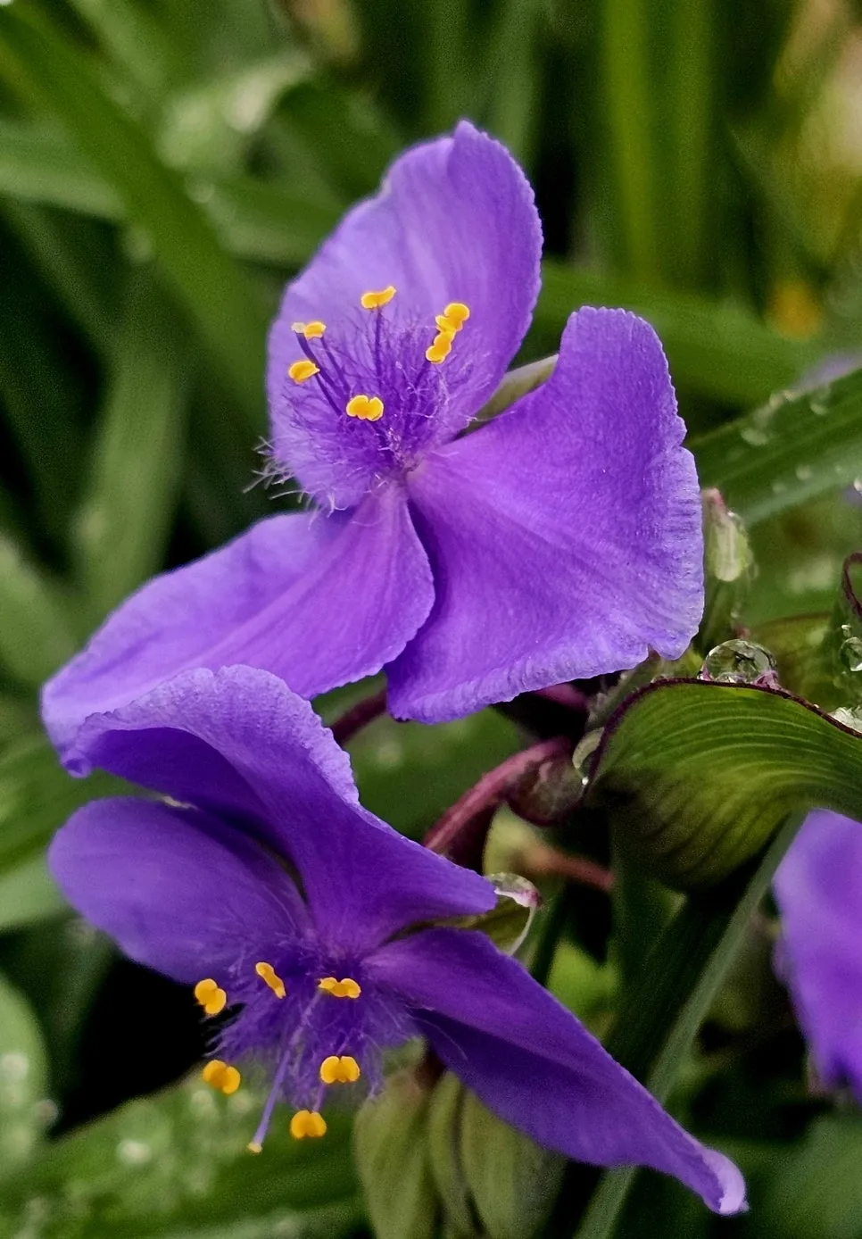 KakaoTalk_20250521_061245597_01.jpg?type=w966