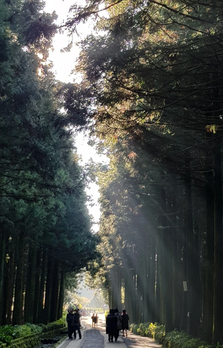 99FDE1435BEF591B2860B9