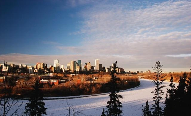 에드먼튼 표지1.jfif