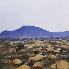 뿌리깊은나무박물관낙양읍성.jfif