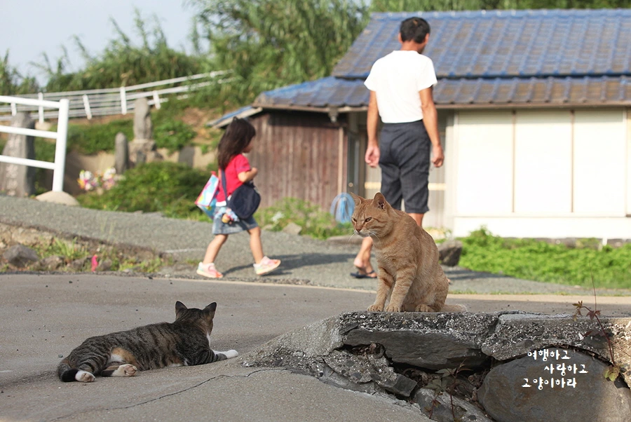 꾸미기_3-2. 아이노-상도.JPG