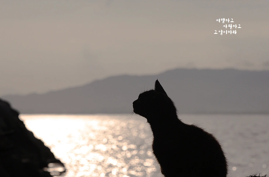 꾸미기_1-1 IMG_1889.JPG