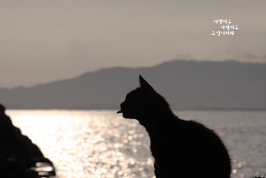 꾸미기_1-1 IMG_1892.JPG