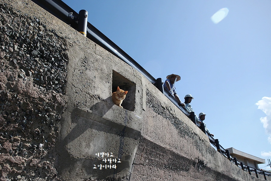 꾸미기_3-3. 아이노-상도.JPG