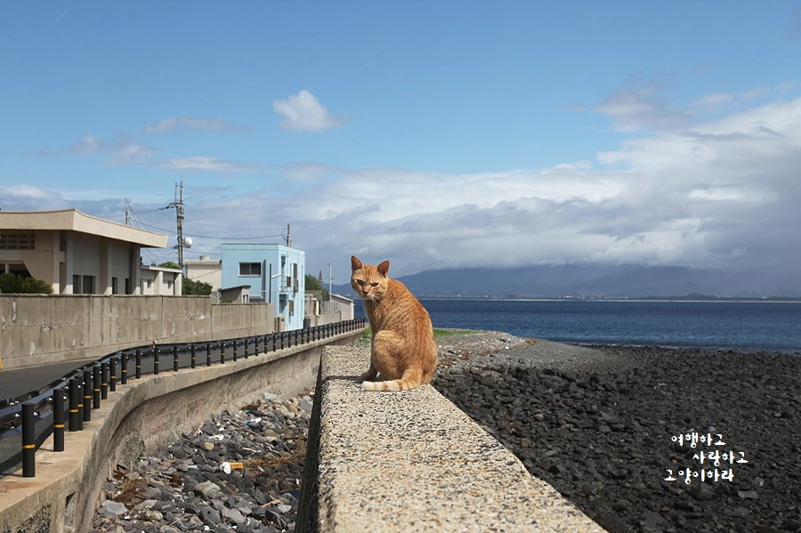 꾸미기_3-5 아이노-상도.JPG