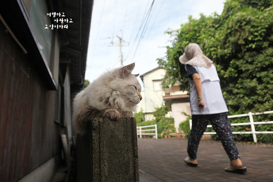 꾸미기_4-5. 아이노-람도.JPG