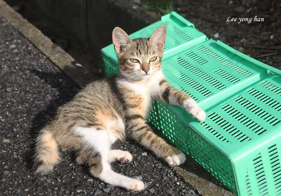 꾸미기_1-1 IMG_8270.JPG