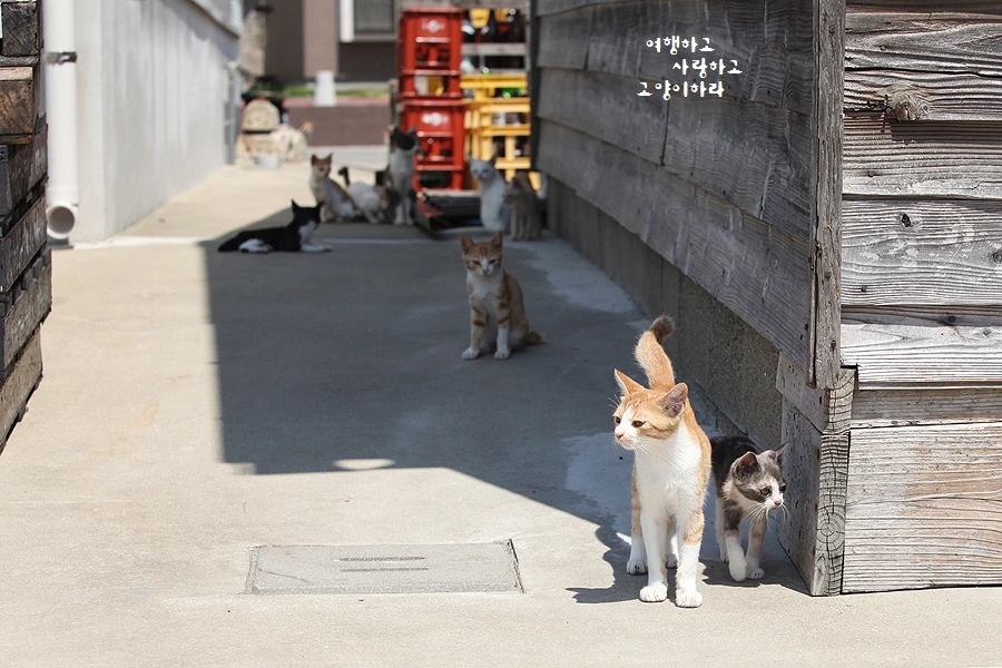 꾸미기_2-2. 겐카이시마.JPG