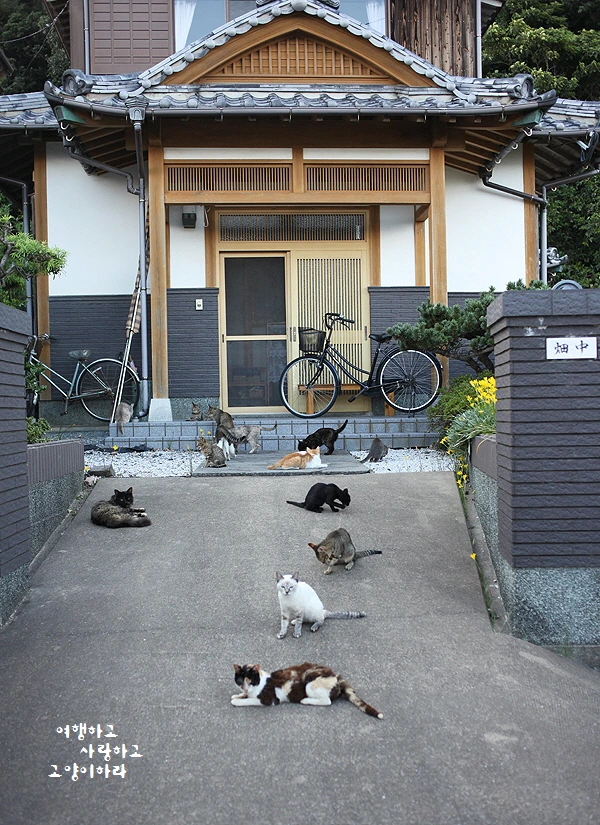 꾸미기_1-1. 히메지마.JPG