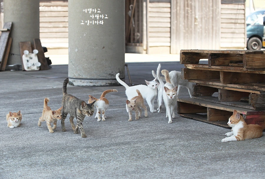 꾸미기_2-3 겐카이시마.JPG