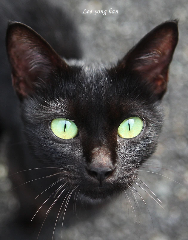 꾸미기_1-1 IMG_8316.JPG