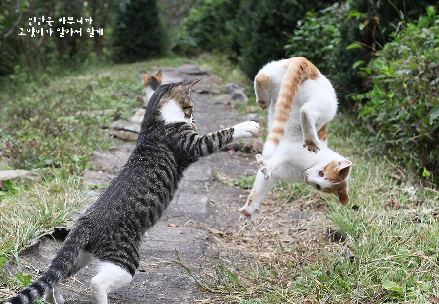 꾸미기_3-3 (2).JPG