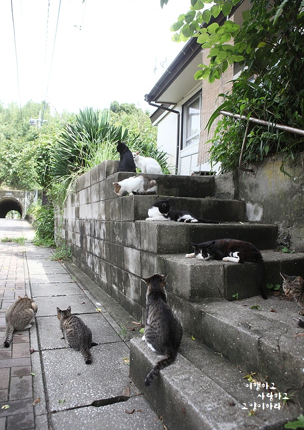 꾸미기_4-2. 아이노-람도.JPG