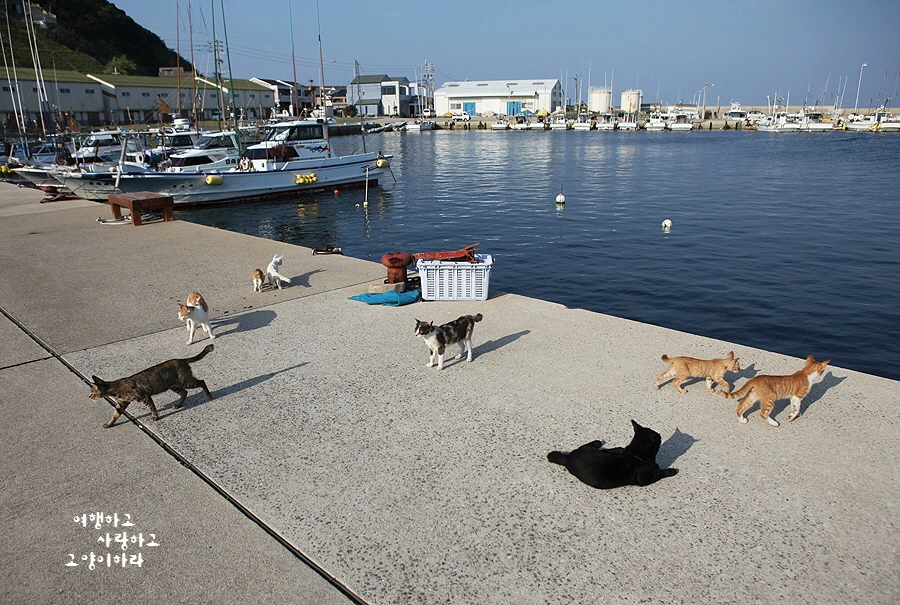 꾸미기_2-1. 겐카이시마.JPG