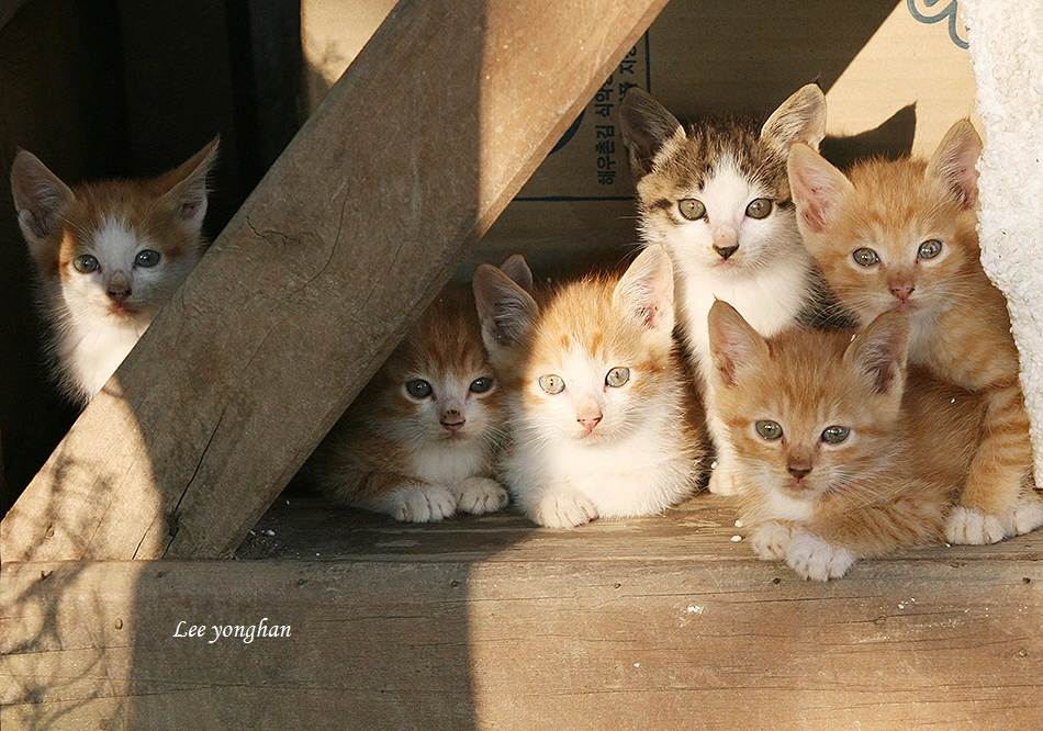 [꾸미기]0.1671 (2).JPG