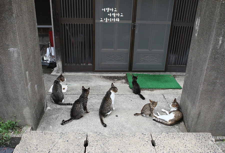 꾸미기_4-7. 아이노-람도.JPG