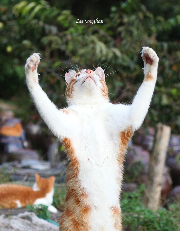 [꾸미기]0-25 (2).JPG