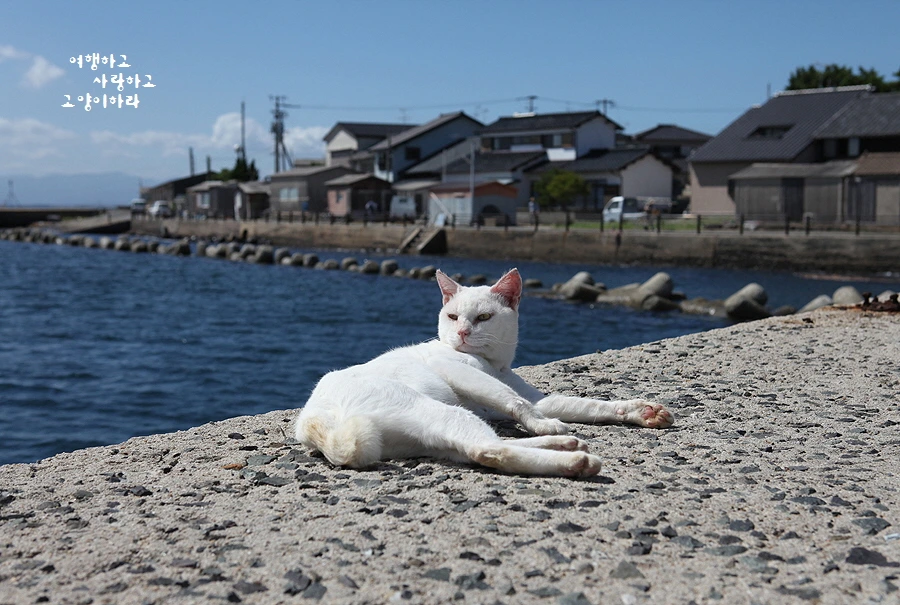 꾸미기_3-1. 아이노시마(상도).JPG