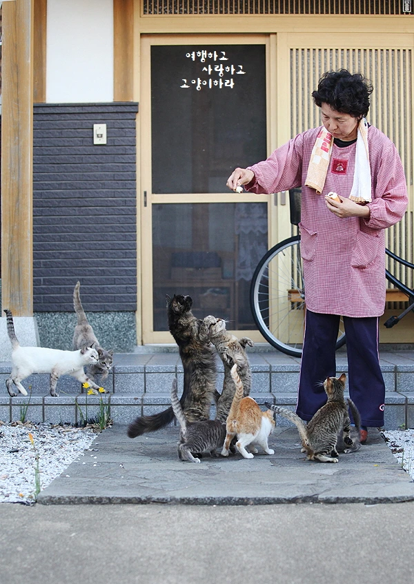 꾸미기_1-2. 히메지마.JPG