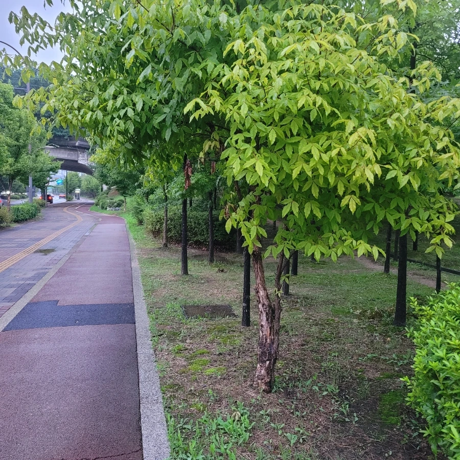 20230830%EF%BC%BF184711.jpg?type=w1