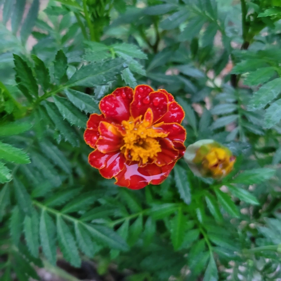 20230830%EF%BC%BF184506.jpg?type=w1