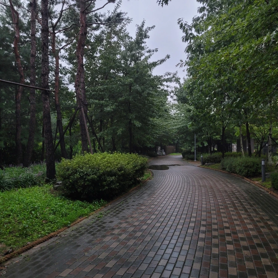 20230830%EF%BC%BF185222.jpg?type=w1