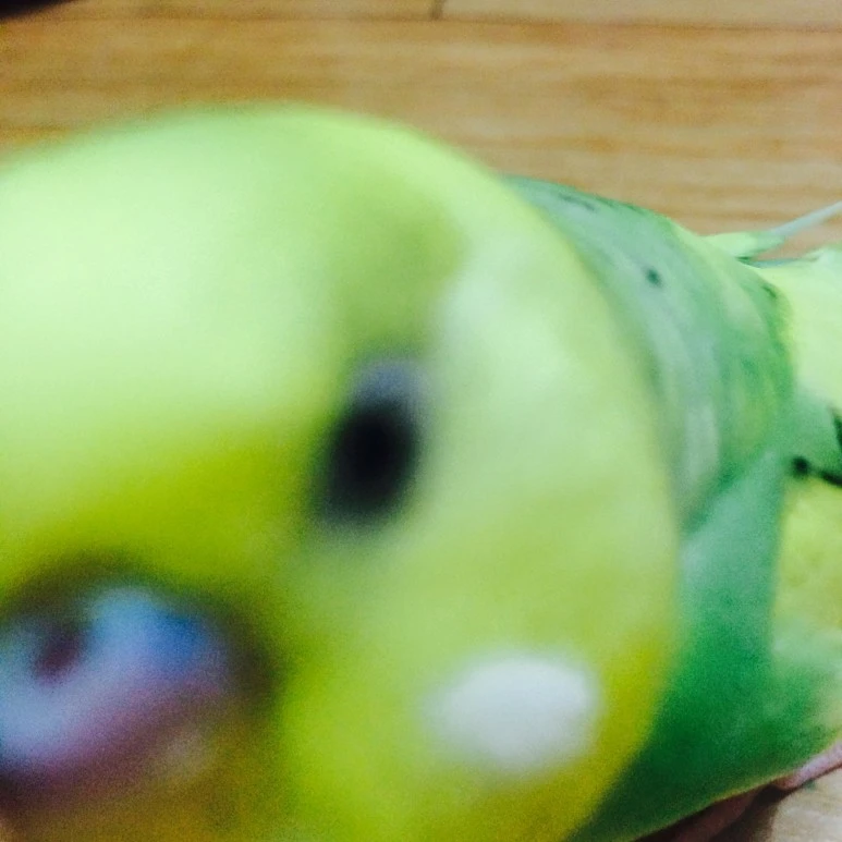 P20150818_202007947_09ECE10B-2BFA-48AB-BC33-729D3AEFAA7E.JPG?type=w773