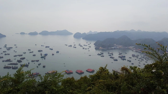 99D417335A250690311B7D